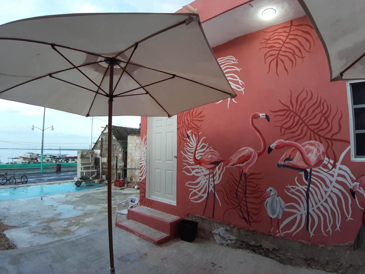 Habitaciones Chiquil Ha Rio Lagartos Bagian luar foto